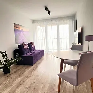 Purple Apartament